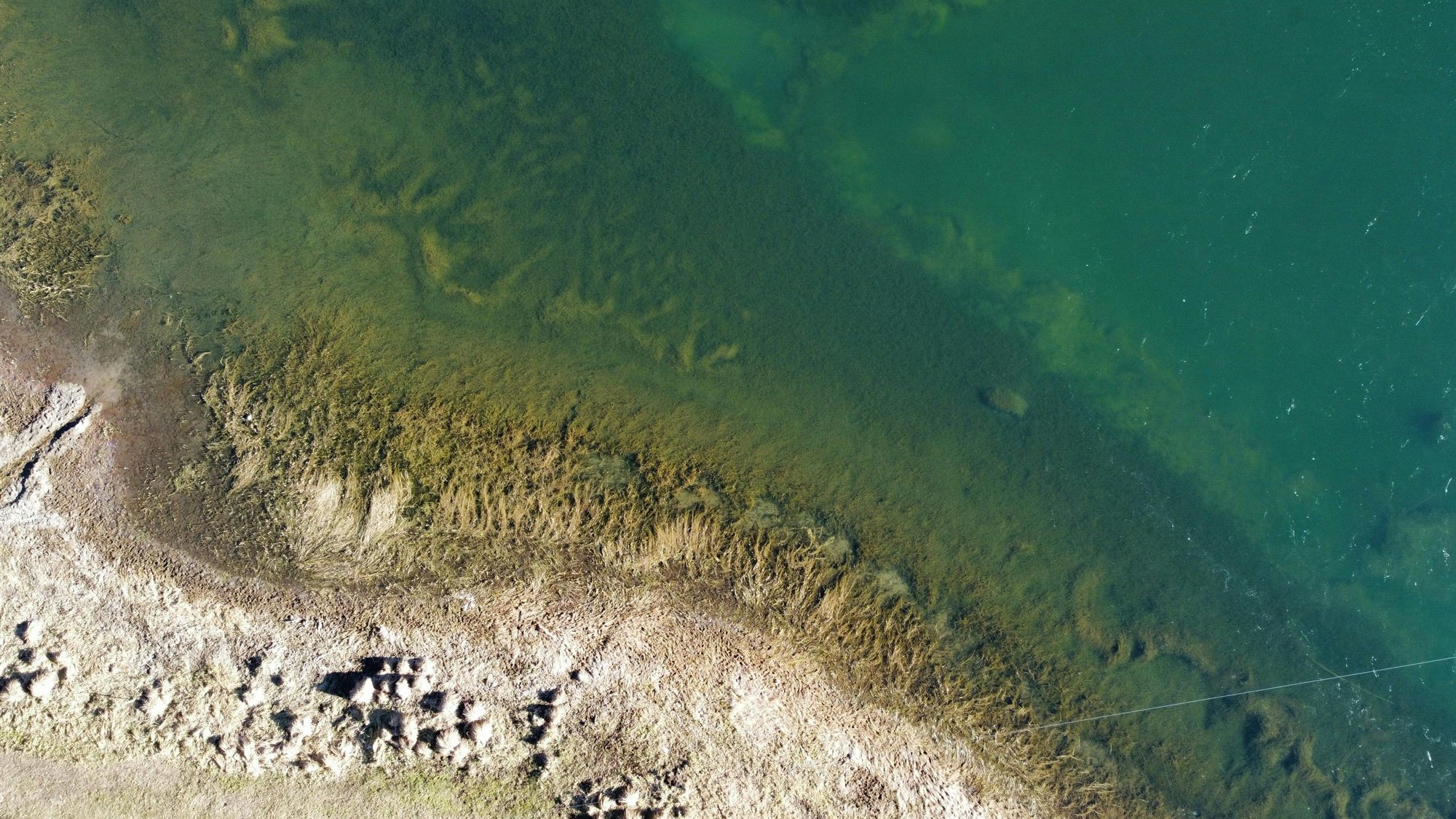 Aerial view of water and shoreline — environmental fate, persistence and mobility