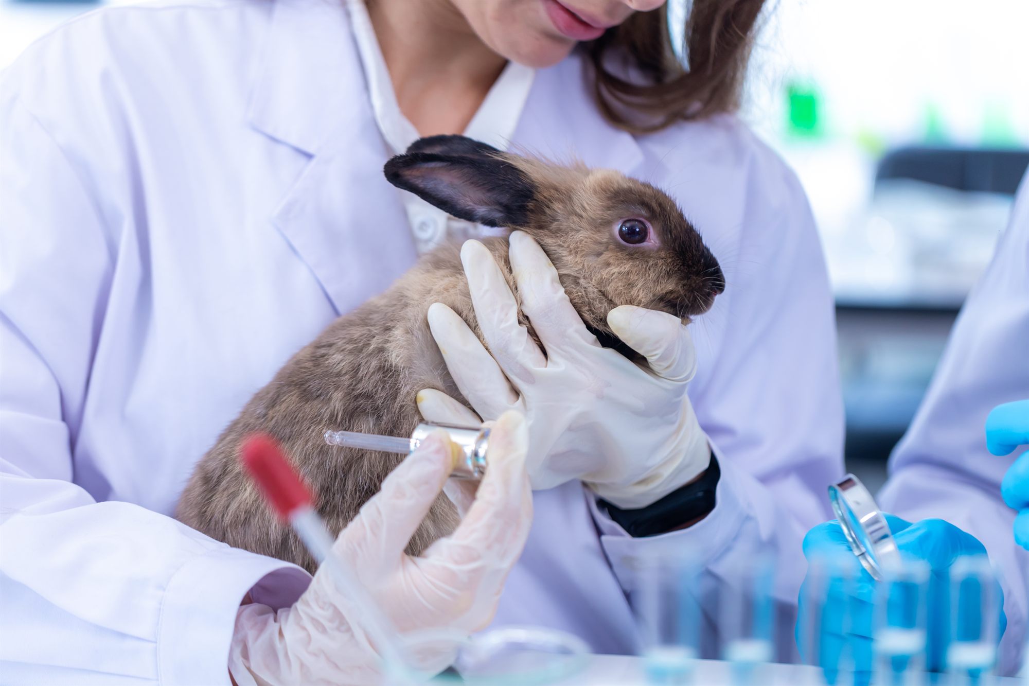 Laboratory animal welfare study oversight